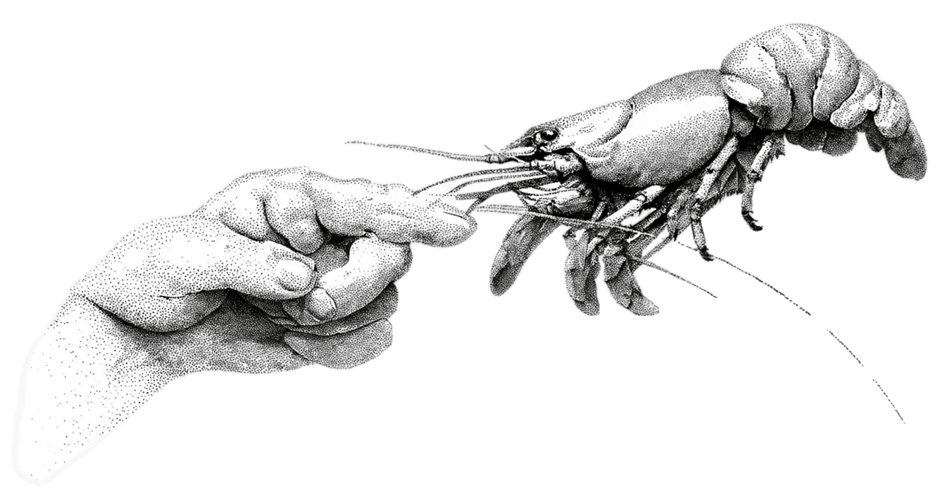 The Creation of Intelligence